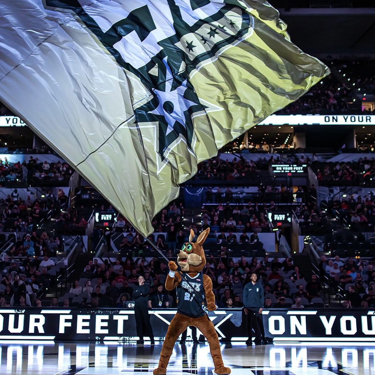 防守的最后 防守的最后